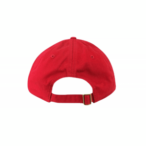 MAGA Script Embroidered Dad Hat