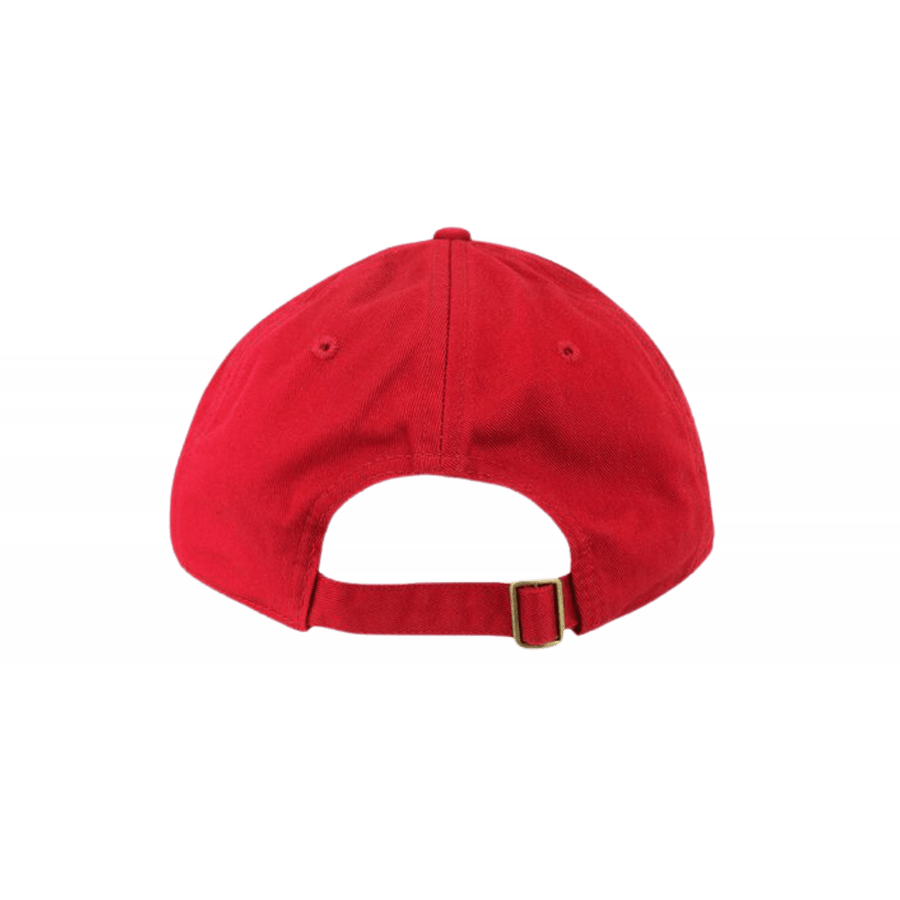 MAGA Script Embroidered Dad Hat